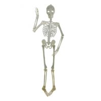 Decorațiune suspendată - schelet luminos, 150 cm