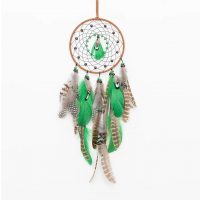 Lăcustă de vise - Soarele indian