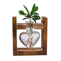 Vază de sticlă cu cadru din lemn, formă inimă pentru hidroponie - 1 vaza