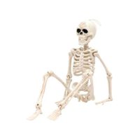 Schelet - 40 cm