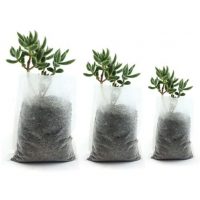 Pungi din textil netesut pentru plantarea puieților - 7,5 x 18 cm