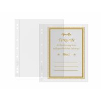 Foițele transparente pentru albume (10 buc) - NUMIS 1C