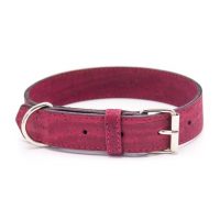 Curea din plută pentru câini - Vârf, 37 cm