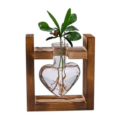 Foto - Vază de sticlă cu cadru din lemn, formă inimă pentru hidroponie - 1 vaza
