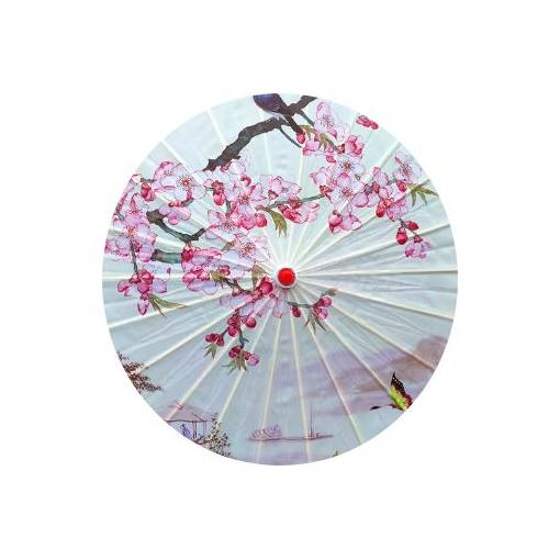 Foto - <b>Umbrela chineză din hârtie de ulei - Sub sakura</b>
