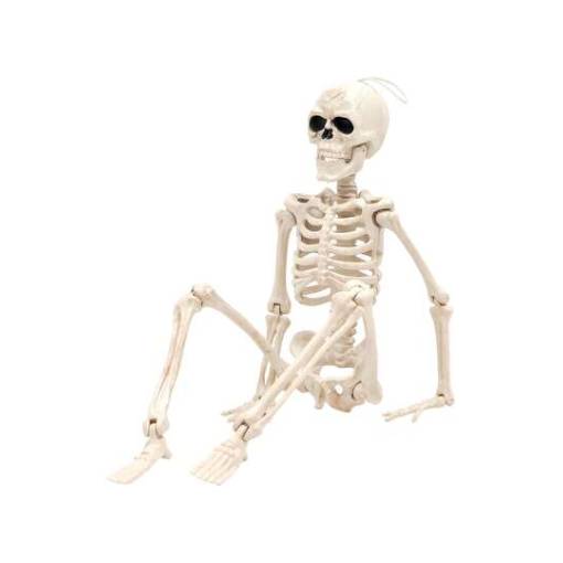 Foto - Schelet - 40 cm